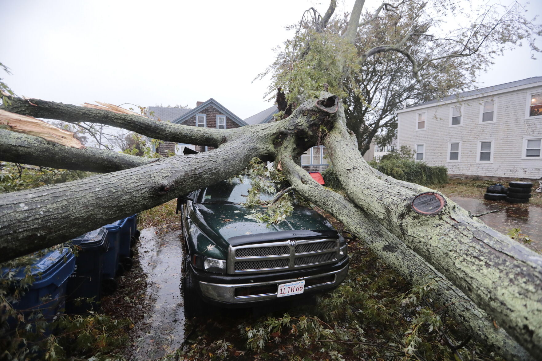 Northeast Storm